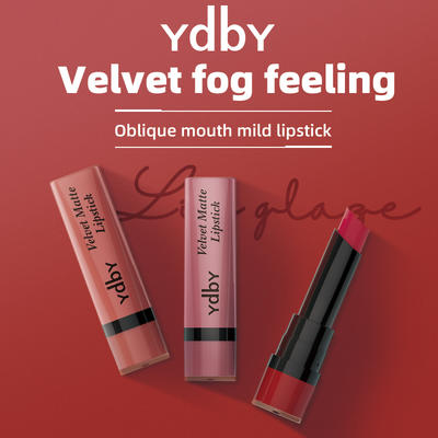 Lipstick Makeup Moisturizing Long Lasting Lipstick Kit YK001